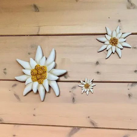 Blockhaus Edelweiss Holiday home