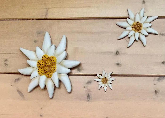 Blockhaus Edelweiss בית נופש